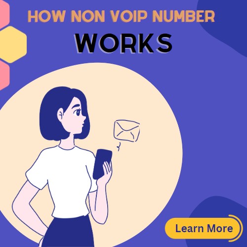 how non voip numbers works